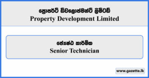Senior Technician - Property Development Limited Vacancies 2025