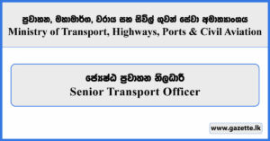 Senior Transport Officer - Ministry of Transport, Highways, Ports and Civil Aviation 2025