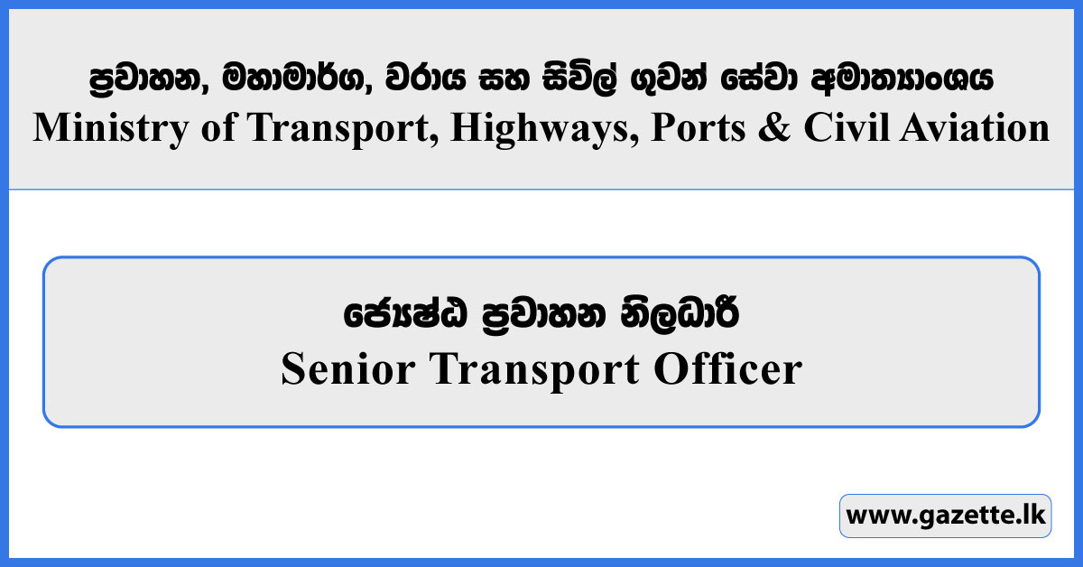 Senior Transport Officer - Ministry of Transport, Highways, Ports and Civil Aviation 2025