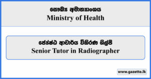 Senior Tutor - Ministry of Health Vacancies 2023