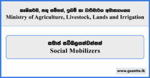 Social Mobilizer - Ministry of Agriculture, Livestock, Lands and Irrigation Vacancies 2025