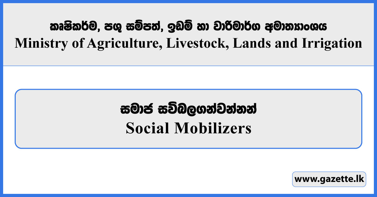 Social Mobilizer - Ministry of Agriculture, Livestock, Lands and Irrigation Vacancies 2025