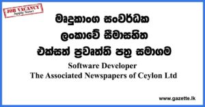 Software-Developer