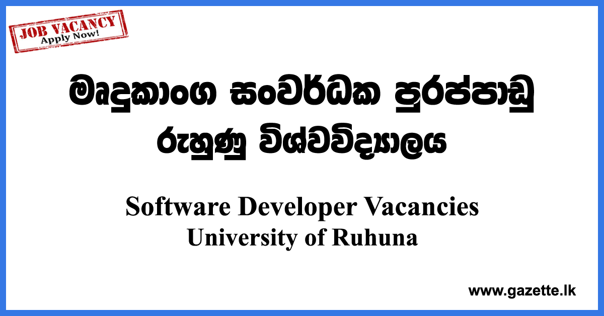 Software Developer Vacancies 2022