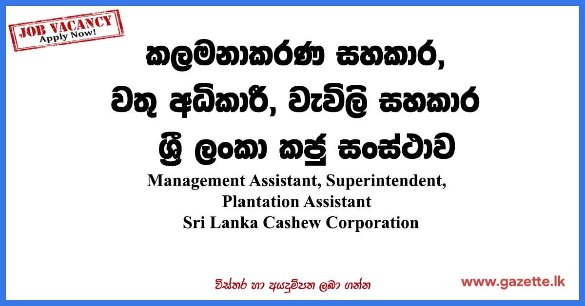 Sri-Lanka-Cashew-Corporation