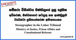 Stenographer in the Labor Tribunal - Ministry of Justice, Prison Affairs and Constitutional Reforms