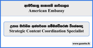 Strategic Content Coordination Specialist - American Embassy Vacancies 2023