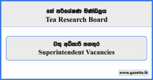 Superintendent - Tea Research Board Vacancies 2024