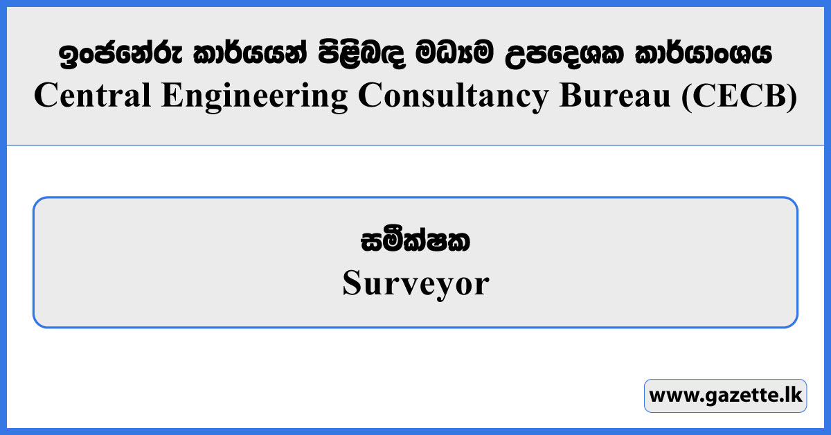 Surveyor - Central Engineering Consultancy Bureau Vacancies 2026