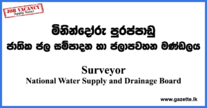 Surveyor-Water-Board-si-