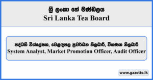 System Analyst, Market Promotion Officer, Audit Officer - Sri Lanka Tea Board Vacancies 2023