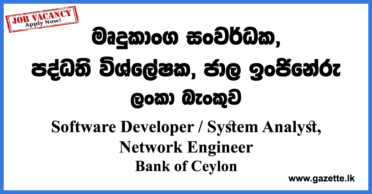 System-Analyst,-Software-Developer,-Network-Engineer-BOC-www.gazette.lk