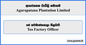 Tea Factory Officer - Agarapatana Plantation Limited Vacancies 2026