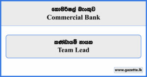 Team Lead - Commercial Bank Vacancies 2024
