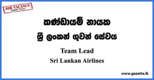 Team Lead (Windows Infrastructure) - Sri Lankan Airlines Vacancies 2023