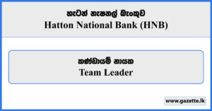 Team Leader - Hatton National Bank Vacancies 2024