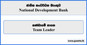 Junior Executive (Wholesale Banking) - National Development Bank Vacancies 2023