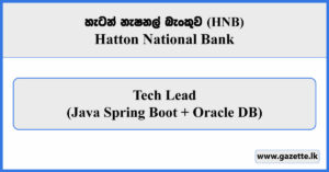 Tech Lead (Java Spring Boot + Oracle DB) - HNB Vacancies 2026