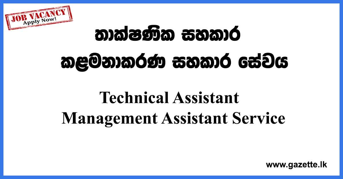 Technical-Assistant