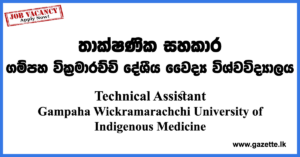 Technical-Assistant-AHEAD-GWUIM-www.gazette.lk