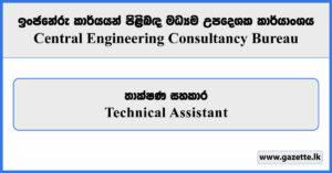 Technical Assistant - Central Engineering Consultancy Bureau Vacancies 2025
