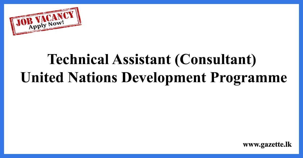 Technical-Assistant-(Consultant)