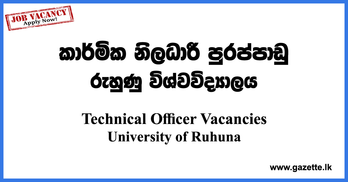 University Technical Officer Vacancies