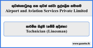 Technician (Linesman) - Airport and Aviation Services Private Limited Vacancies 2025