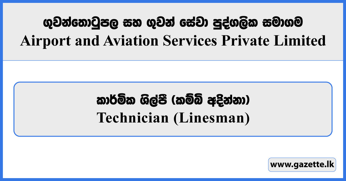 Technician (Linesman) - Airport and Aviation Services Private Limited Vacancies 2025