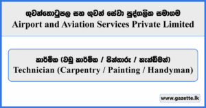 Technicians (Carpentry / Painting / Handyman) - Airport and Aviation Services Private Limited Vacancies 2026