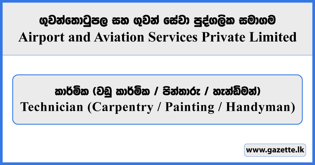 Technicians (Carpentry / Painting / Handyman) - Airport and Aviation Services Private Limited Vacancies 2026