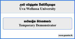 Temporary Demonstrator - Uva Wellassa University Vacancies 2024