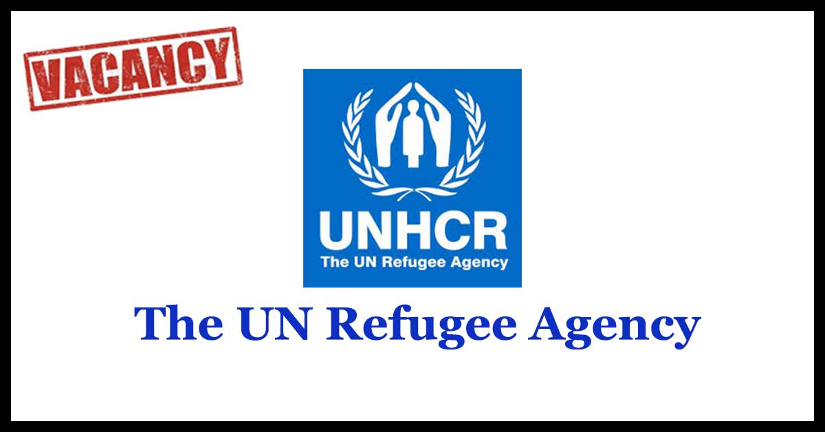 The UN Refugee Agency