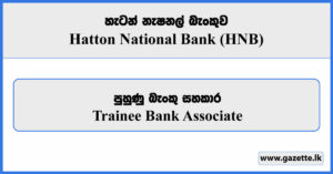 Trainee Bank Associate - Hatton National Bank Vacancies 2024