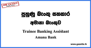 Trainee Banking Assistant Vacancies