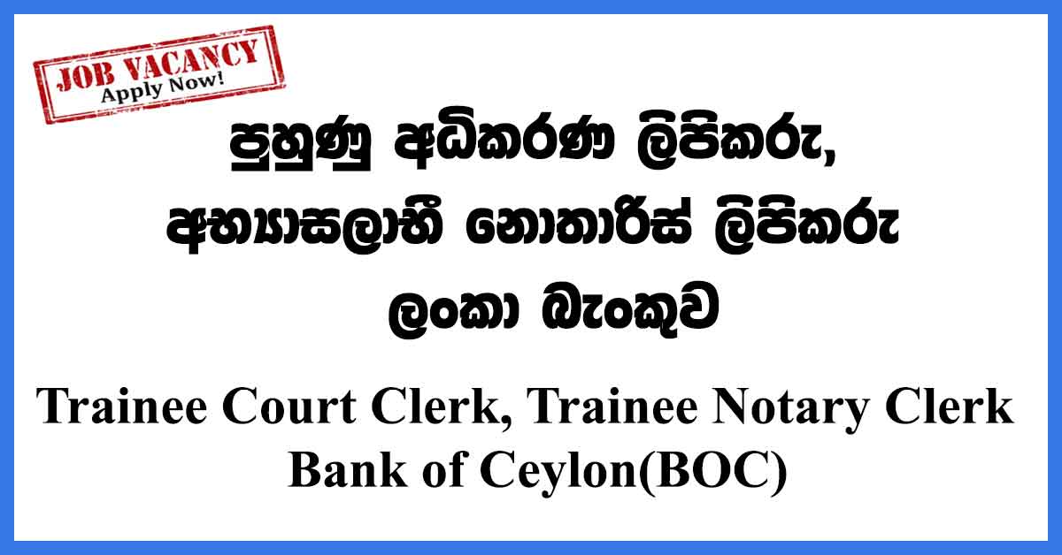 Trainee Court Clerk