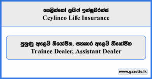 Trainee Dealer, Assistant Dealer - Ceylinco Life Insurance Vacancies 2025