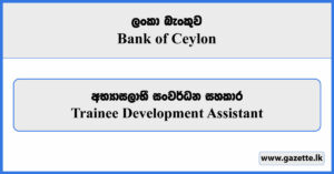 Trainee Development Assistant - Bank of Ceylon Vacancies 2025