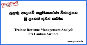 Trainee-Revenue-Management-Analyst-Airlines-