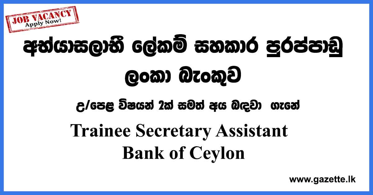 Trainee-Secretary-Assistant