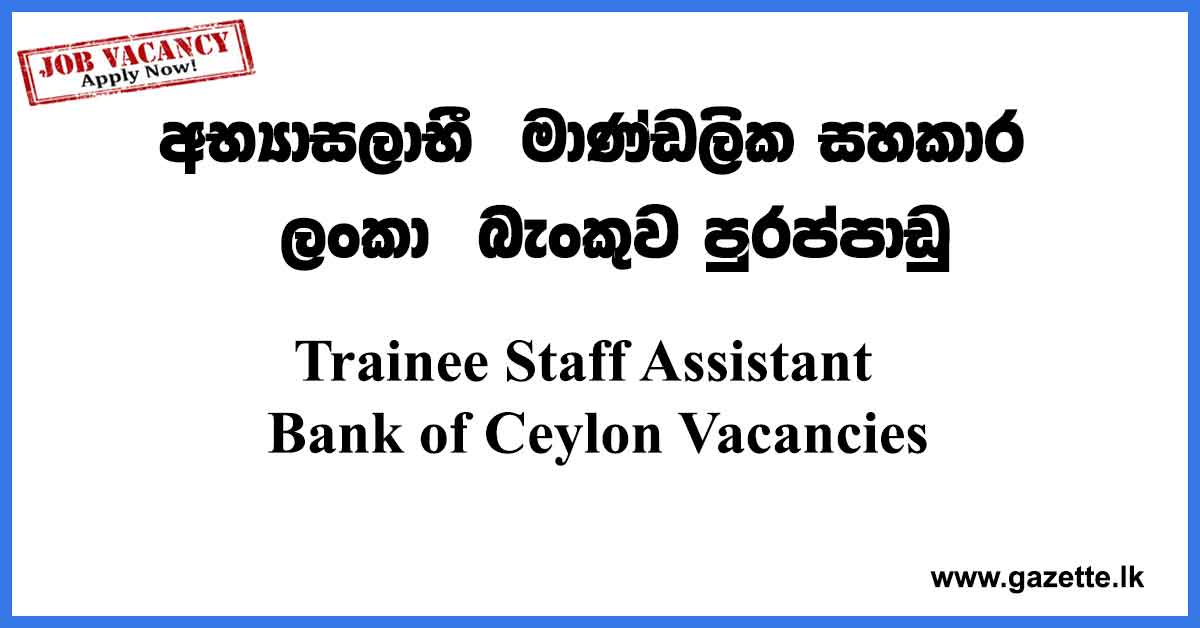 Trainee-Staff-Assistant-BOC