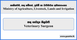 Veterinary Surgeon - Ministry of Agriculture, Livestock, Lands and Irrigation Vacancies 2025