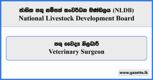Veterinary Surgeon - National Livestock Development Board Vacancies 2026
