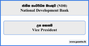 Vice President - National Development Bank Vacancies 2025