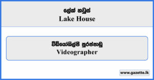 Videographer - Lake House Vacancies 2025