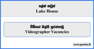 Videographer Vacancies - Lake House Vacancies 2024