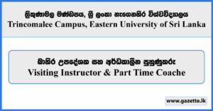 Visiting Instructor & Part Time Coache - Trincomalee Campus, Eastern University of Sri Lanka Vacancies 2026