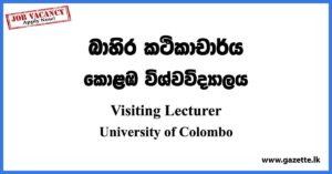 Visiting Lecturer - University of Colombo