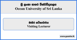 Visiting Lecturer - Ocean University of Sri Lanka Vacancies 2023