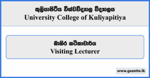 Visiting Lecturer - University College Kuliyapitiya Vacancies 2024